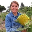 A Woman presenting a sunflower from her harvest.