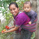 Woman and baby with greenhouse tomato crop.